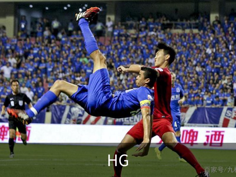 HG简介